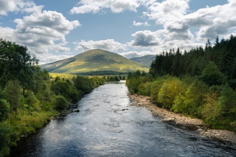 River Flowing Through the Trees and Mountains